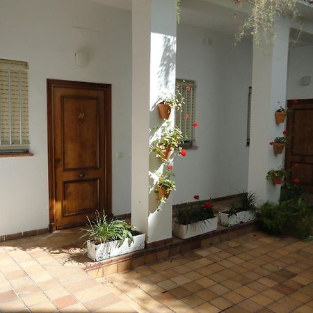Hotel El Coloso Jerez de la Frontera Exteriör bild