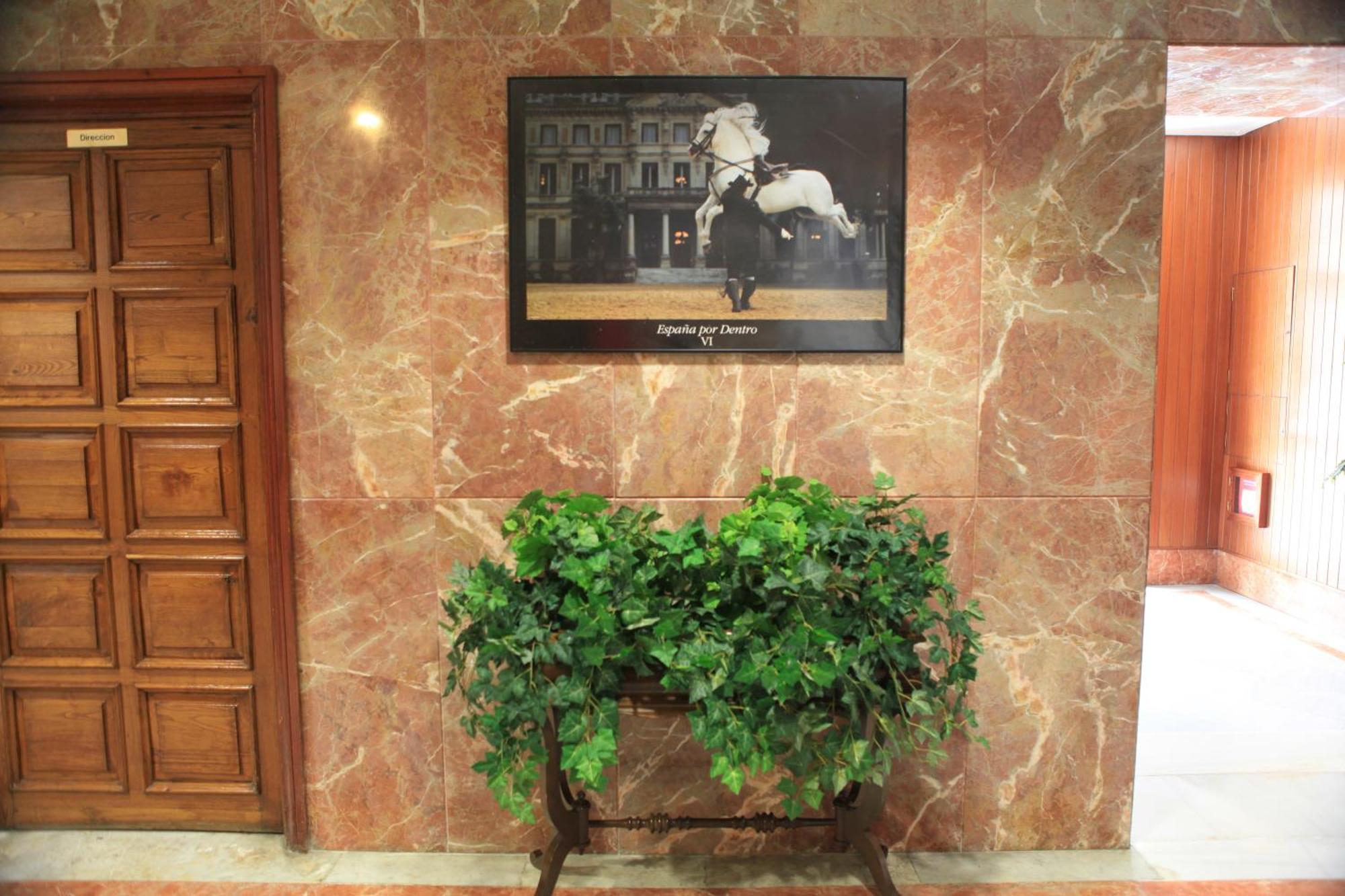 Hotel El Coloso Jerez de la Frontera Exteriör bild