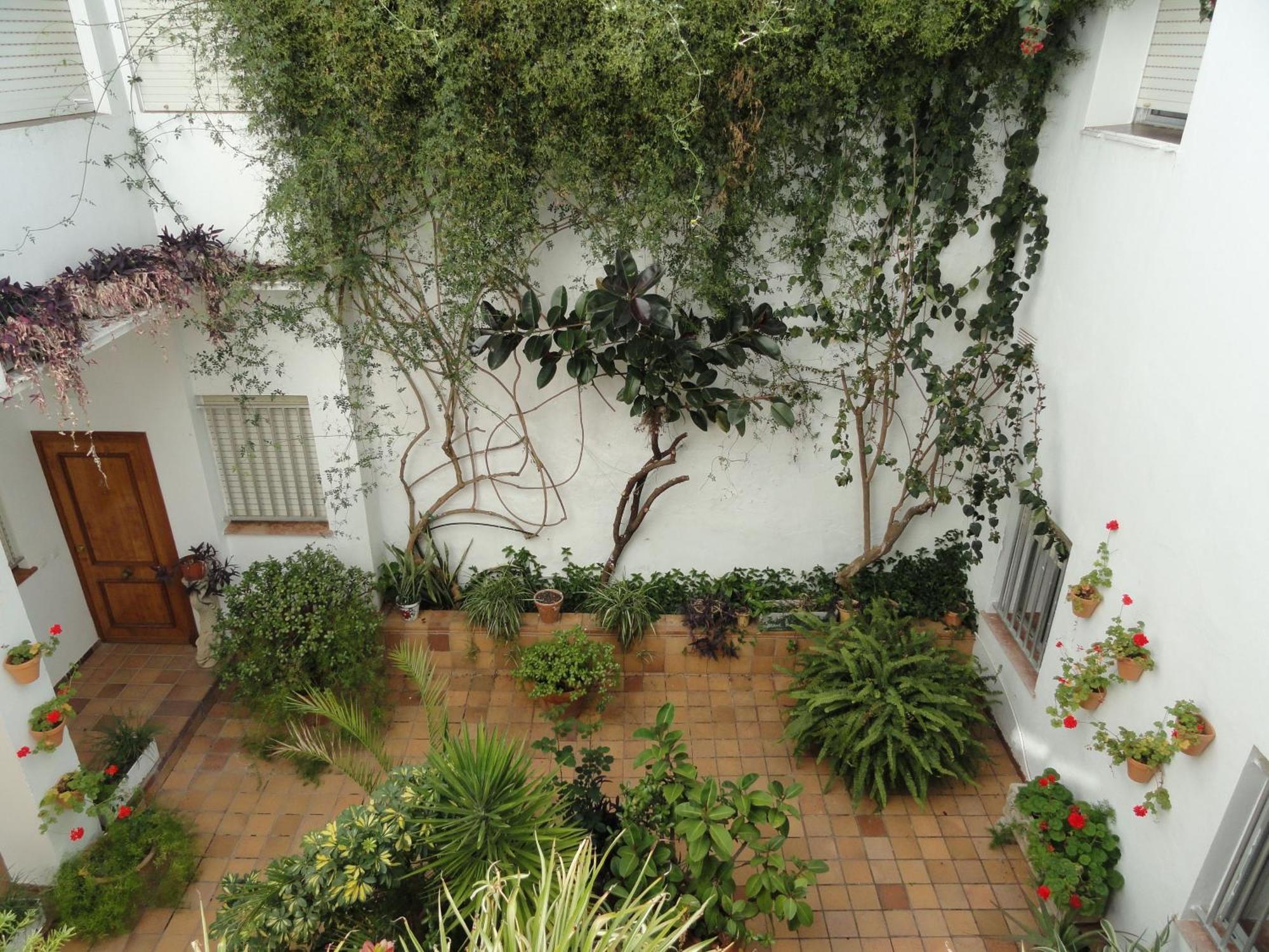 Hotel El Coloso Jerez de la Frontera Exteriör bild