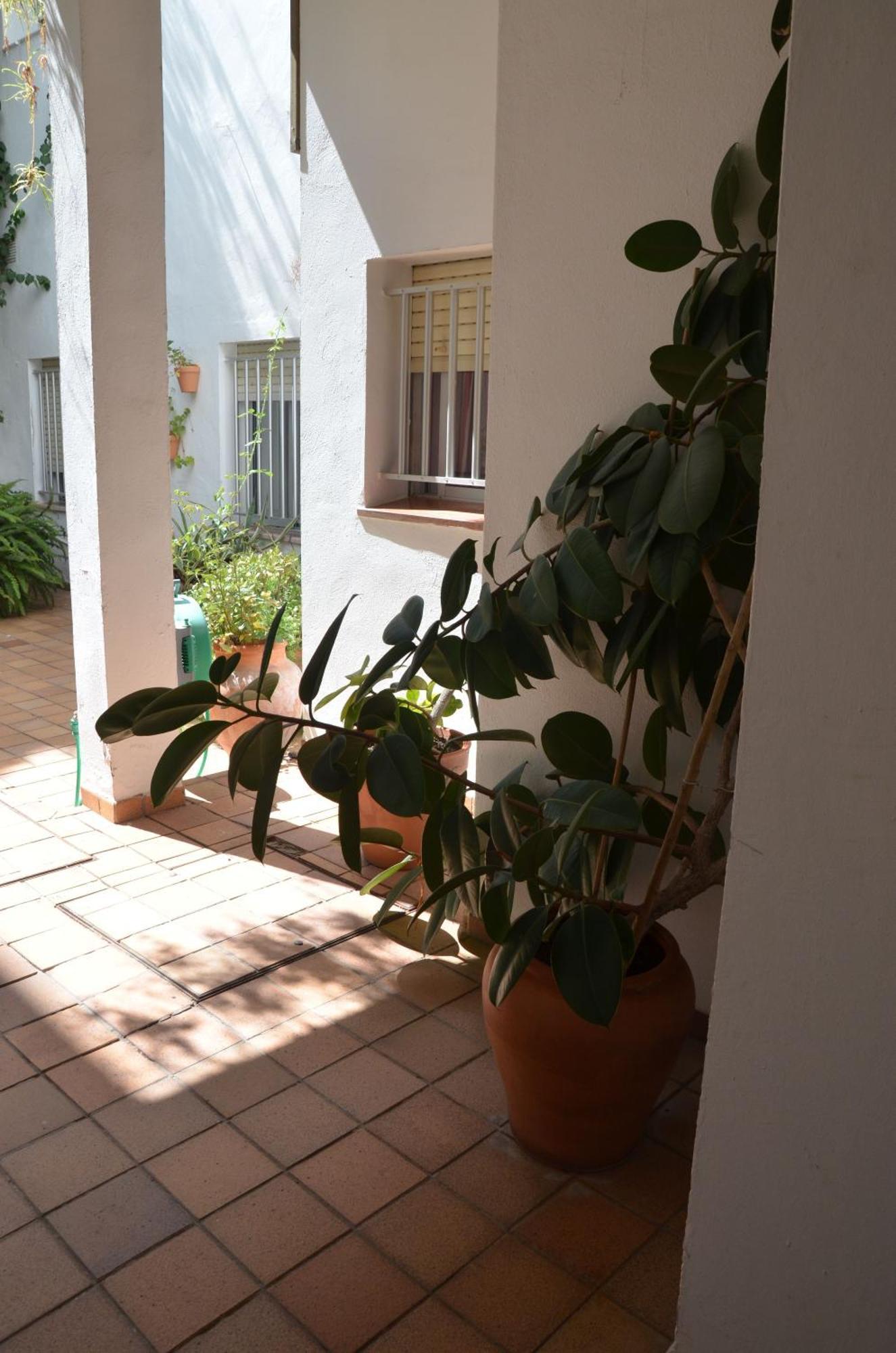 Hotel El Coloso Jerez de la Frontera Exteriör bild